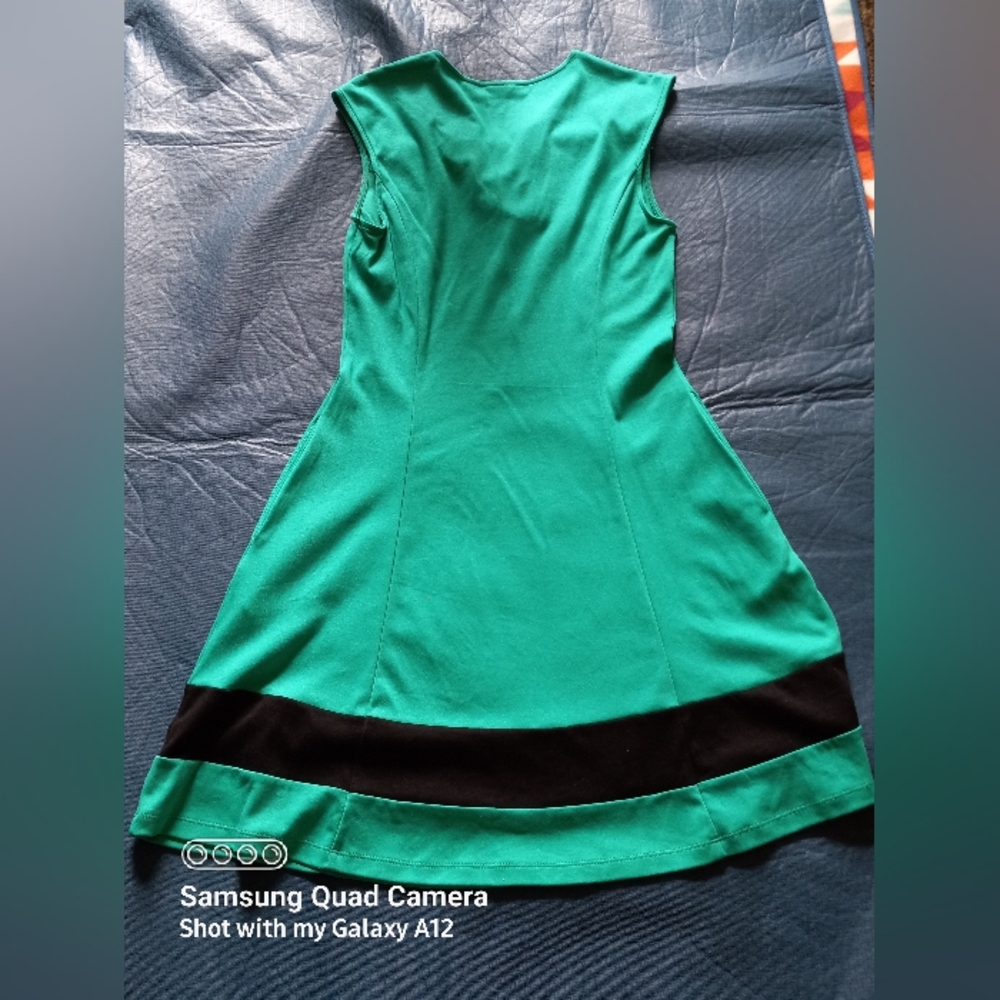Green and Black Flare A-line  Flirty Dress